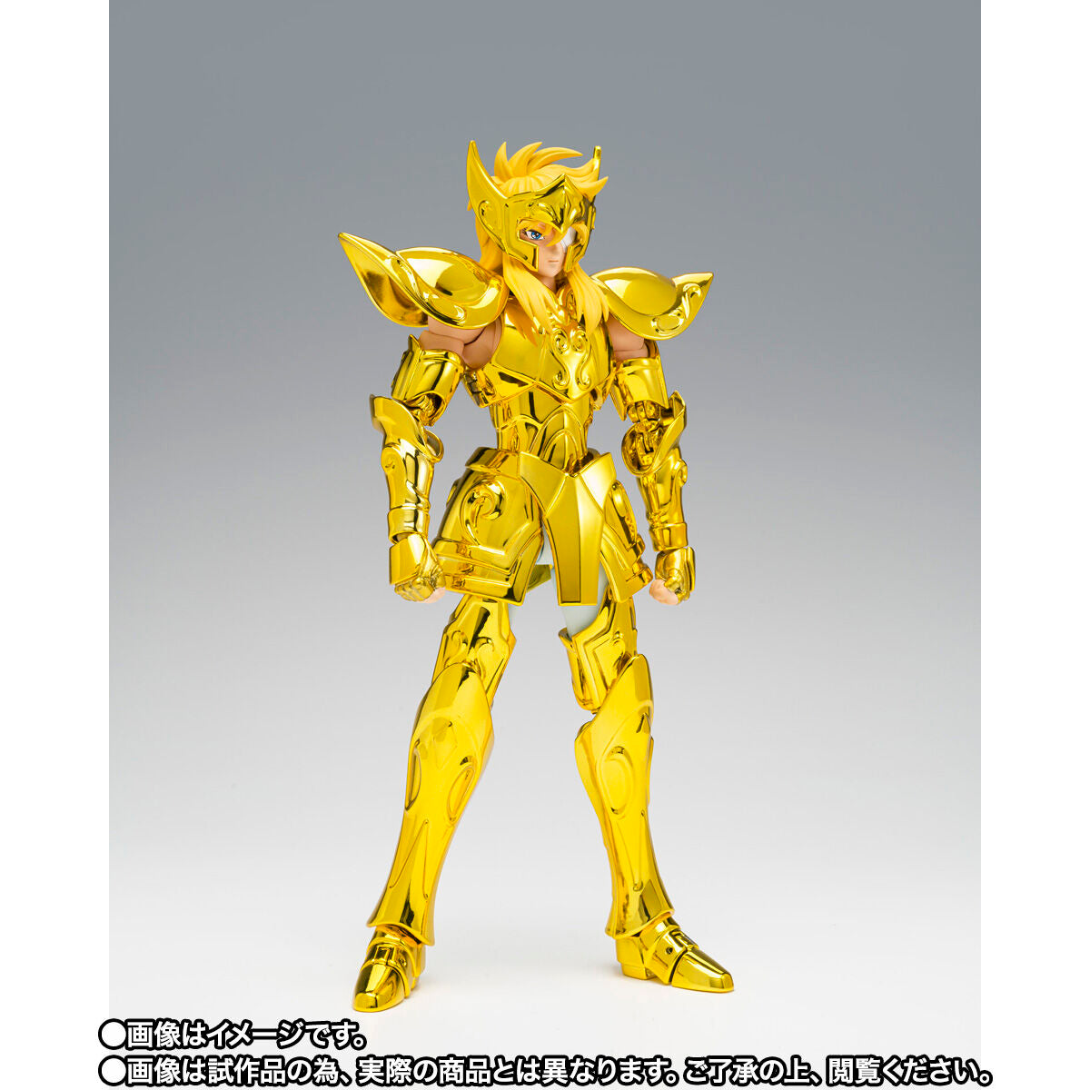 SAINT SEIYA MYTH CLOTH EX - AQUARIUS HYOGA SUCCESSOR OF THE GOLDEN CLOTH