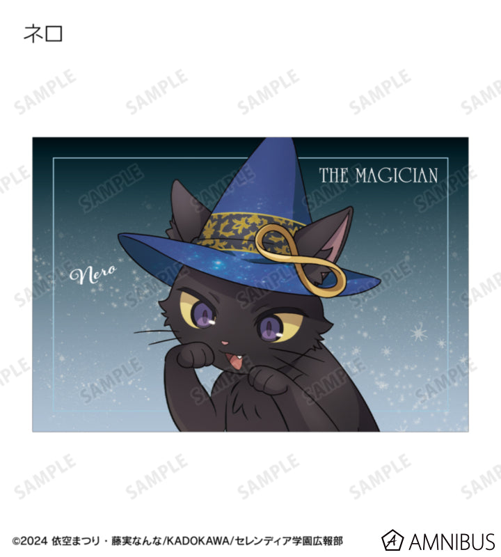 Secrets of the Silent Witch Original Illustration Tarot Ver. Trading Postcard - Complete Set Of 12 Types [Pre-Order Sep 2026]