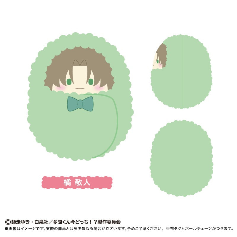 [Special Bundle] Tamon’s B‑Side Kurumi Tapinui - Plushes Set of 7 Types & Accessories Set of 6 Types [Pre-Order Dec 2026]