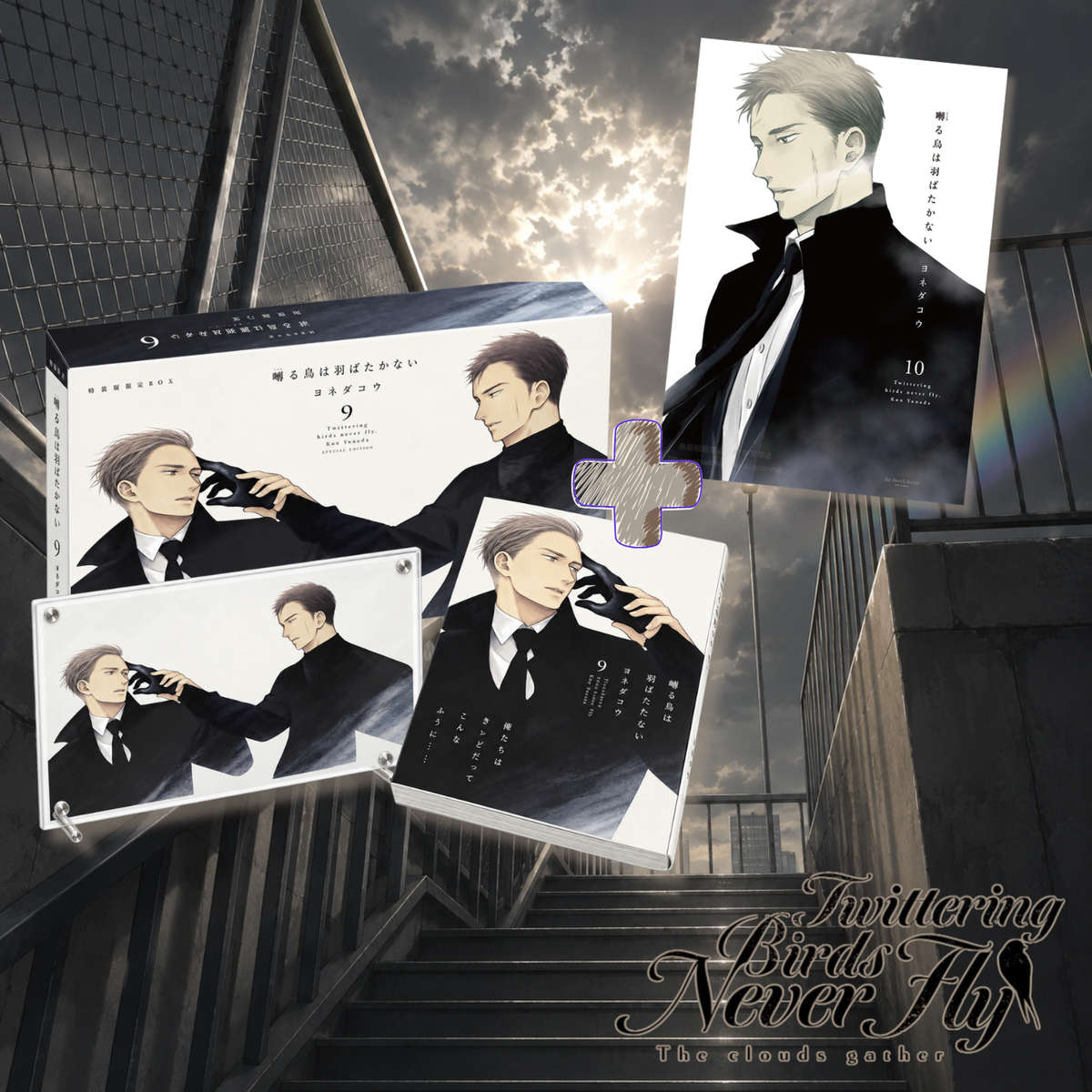 [Special Bundle] Twittering Birds Never Fly - Twittering Birds Never Fly Vol. 9 Limited Box + Vol. 10 [Pre-Order Oct 2026]