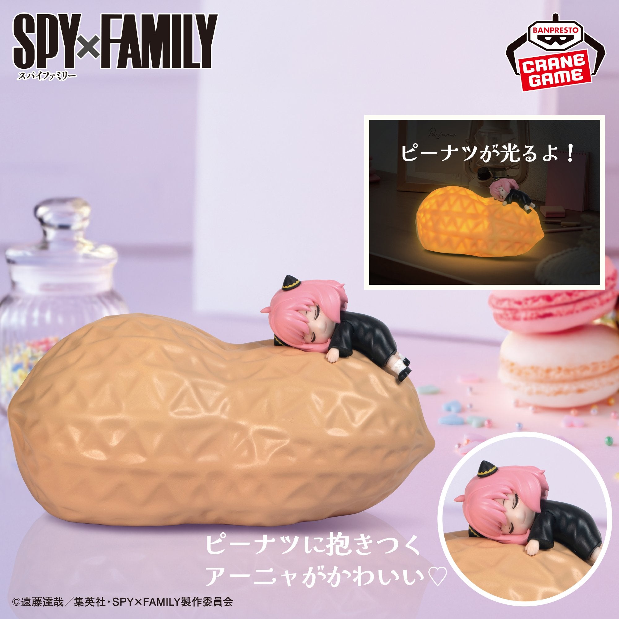 Spy X Family Series – JumpIchiban