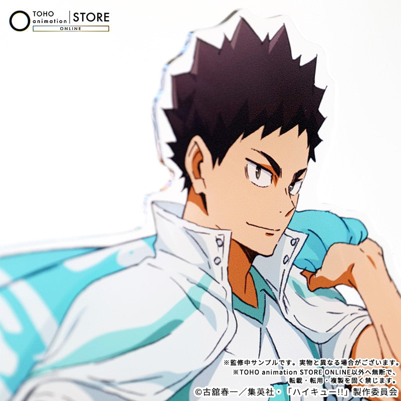 Haikyu!! - BIG Acrylic Stand Hajime Iwaizumi Banner Visual Ver. [Pre-Order Nov 2026] - official photo 3