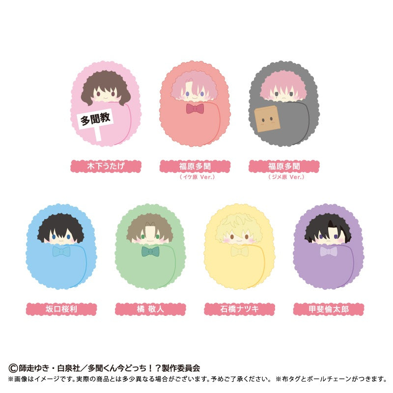 Tamon’s B‑Side Kurumi Tapinui - Complete Set of 7 Types [Pre-Order Dec 2026]