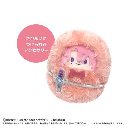 Tamon’s B‑Side Kurumi Tapinui - Plushie Accessories Complete Set of 6 Types [Pre-Order Dec 2026]