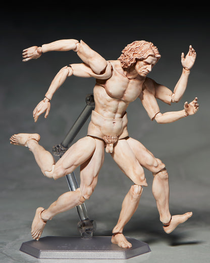 The Table Museum Figma - Vitruvian Man [Pre-Order Feb 2027]