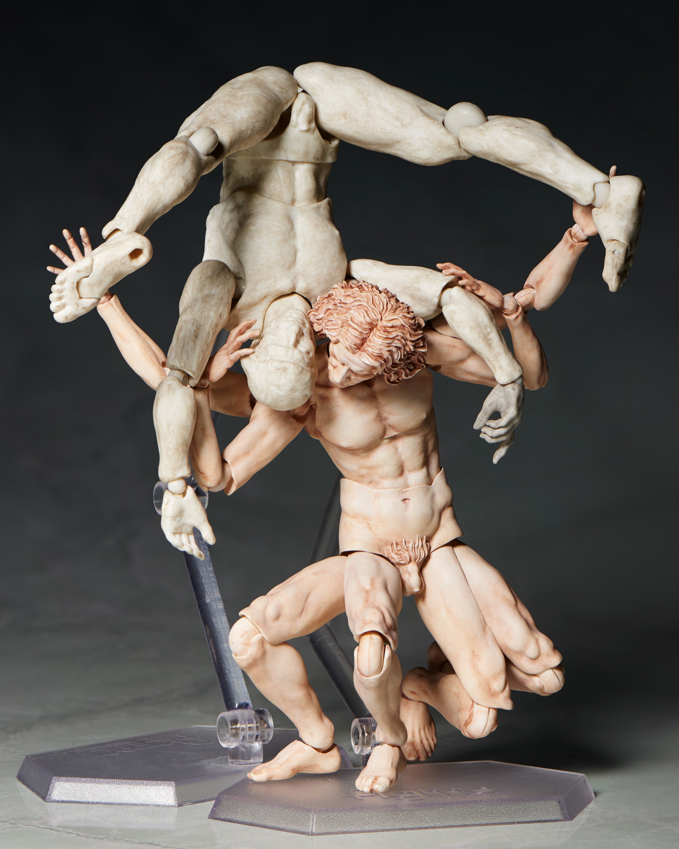 The Table Museum Figma - Vitruvian Man [Pre-Order Feb 2027]