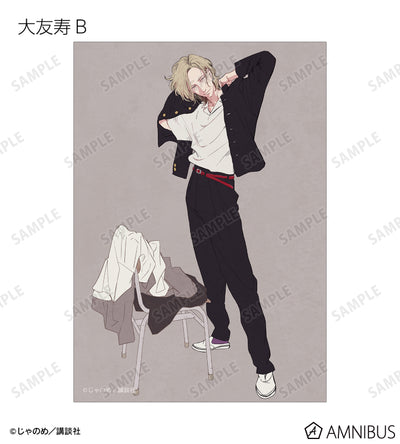 Twilight Out of Focus - Trading bromide [BOX] [Pre-Order Jul 2026]