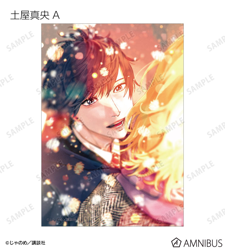 Twilight Out of Focus - Trading bromide [BOX] [Pre-Order Jul 2026]