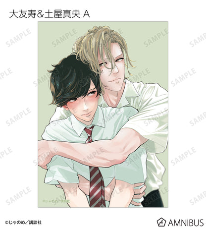 Twilight Out of Focus - Trading bromide [BOX] [Pre-Order Jul 2026]