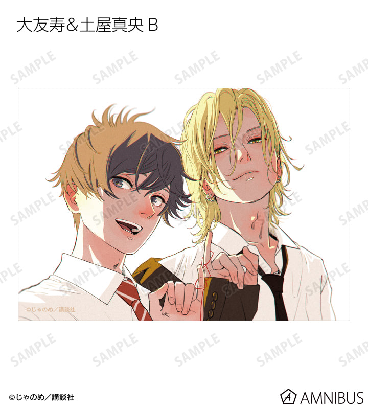 Twilight Out of Focus - Trading bromide [BOX] [Pre-Order Jul 2026]