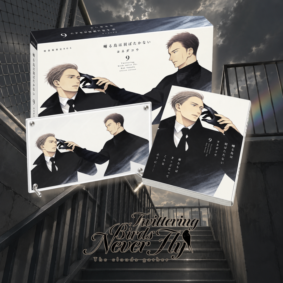 Twittering Birds Never Fly - Twittering Birds Never Fly Vol. 9 Limited Box [Pre-Order Oct 2026]