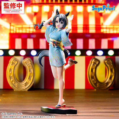 Uma Musume Pretty Derby XStellar - Satono Crown Training Center Ondo