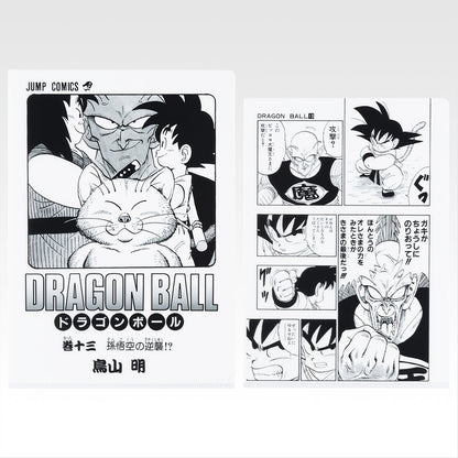 Ichiban Kuji Dragon Ball 40th Part 1 - G Prize Comics Clear File Set Volume 1 to Volume 21 Complete Set of 21 Types