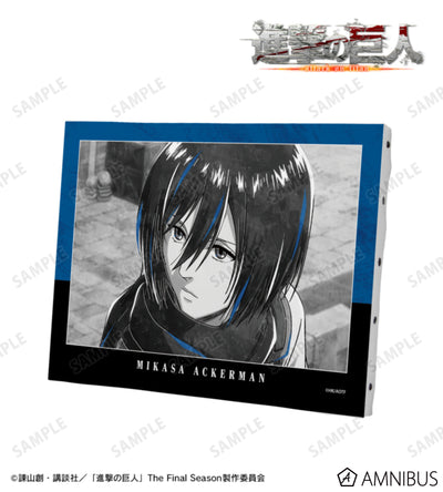 Attack on Titan Ani-Art BLACK LABEL Vol. 3 - F0 Canvas Boards Mikasa Ackerman, official product view 1