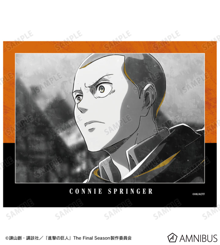 Attack on Titan Ani-Art BLACK LABEL Vol. 3 - F0 Canvas Boards Connie Springer, official product view 2