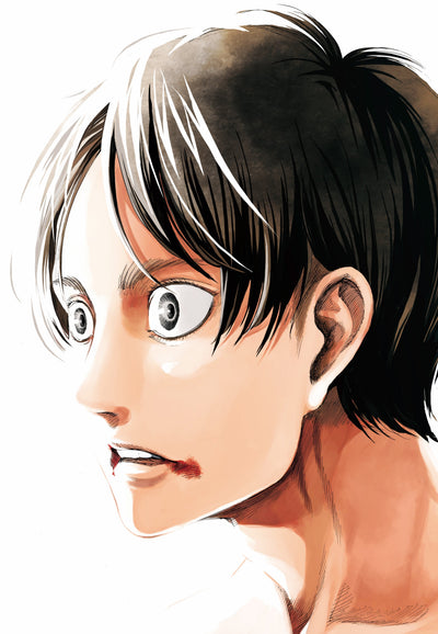 Attack on Titan Artbook Fly - Limited Edition + Bonus