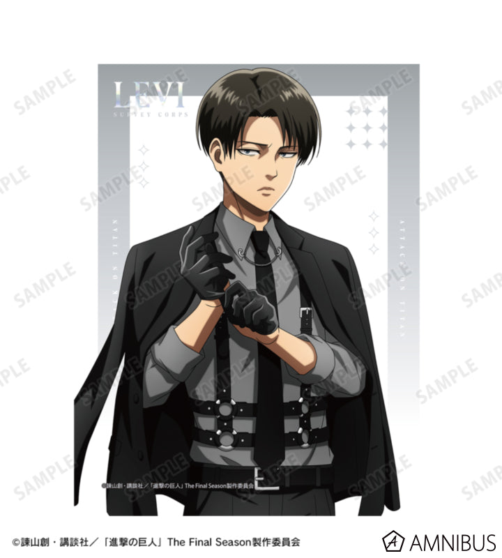 Attack on Titan Harness Style Ver. - F0 Canvas Boards Levi Ackerman, official product view 2