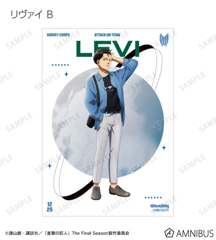 Attack on Titan Similar Look Ver. Vol. 2 - Bromide Prints Complete Set Of 8 Types complete box, official product view 8