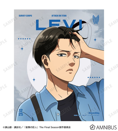 Attack on Titan Similar Look Ver. Vol. 2 - F3 Canvas Boards Levi Ackerman, official product view 2