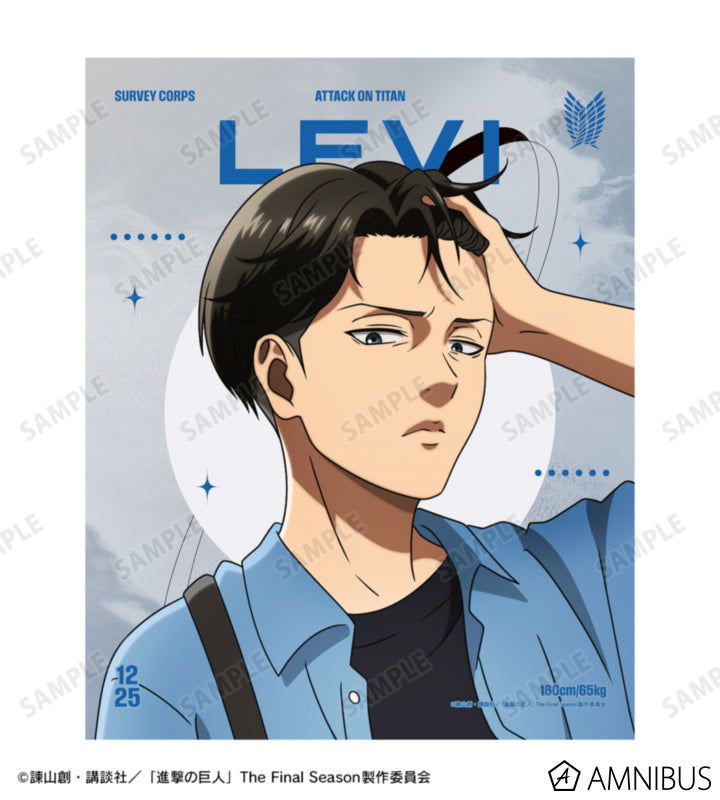 Attack on Titan Similar Look Ver. Vol. 2 - F3 Canvas Boards Levi Ackerman, official product view 2