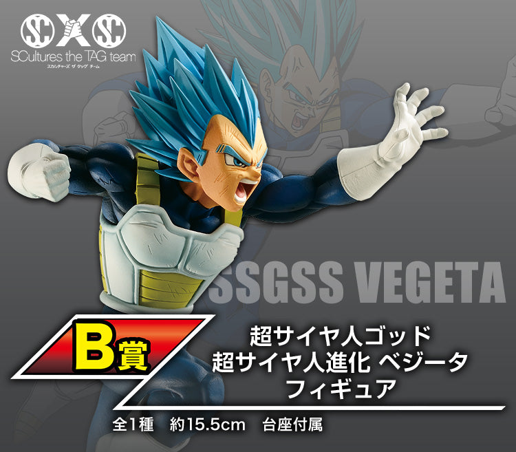 Ichiban Kuji Dragon Ball Super Warrior Battle Retsuden Z - B Prize Super Saiyan God Vegeta Figure