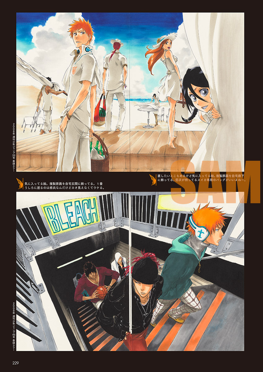 BLEACH EX. Official catalog THE BLACK BROCHURE – JumpIchiban