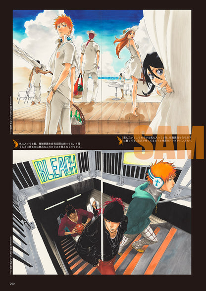 BLEACH EX. Official catalog THE BLACK BROCHURE