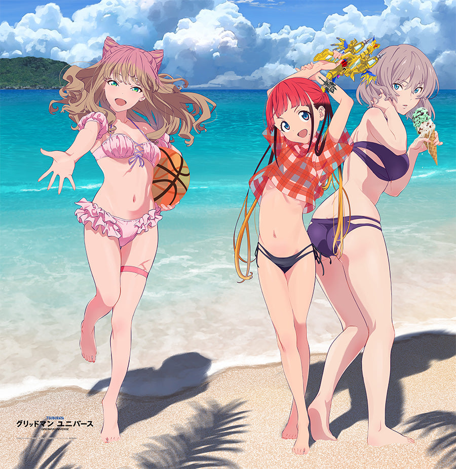 Gridman Universe - Original illustration curtain (5 Types) [Pre-Order July 2026]