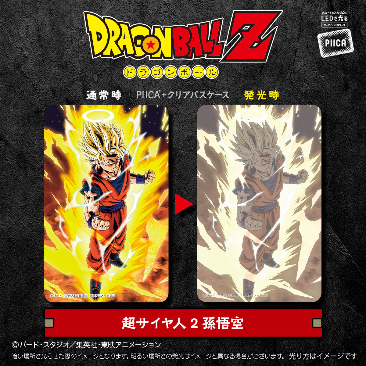 Dragon Ball Z - PIICA Card + Clear Pass Case (10 types) [Pre-Order