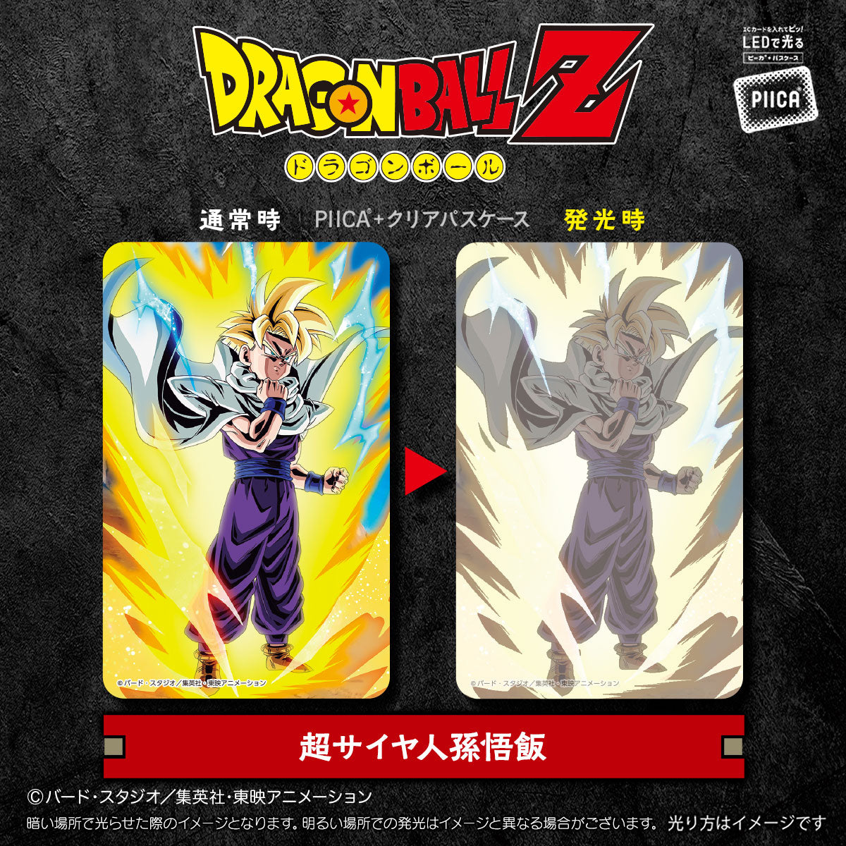 Dragon Ball Z - PIICA Card + Clear Pass Case (10 types) [Pre-Order Mar 2026]