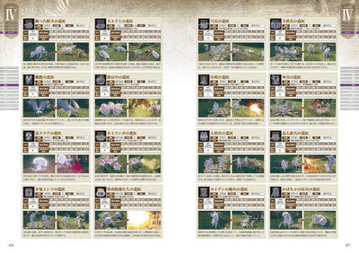 Elden Ring - Official Complete Guide (Base Game) - Japanese - publisher preview 4