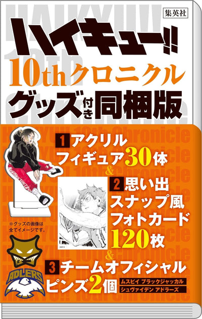 HAIKYŪ!! ARTBOOK  - 10TH CHRONICLE - BUNDLED VERSION (GOODIES)