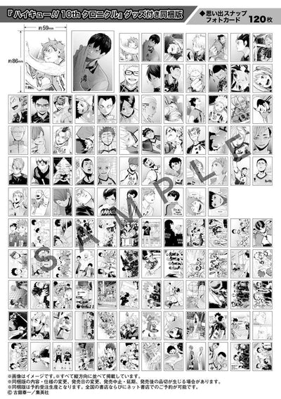 HAIKYŪ!! ARTBOOK  - 10TH CHRONICLE - BUNDLED VERSION (GOODIES)