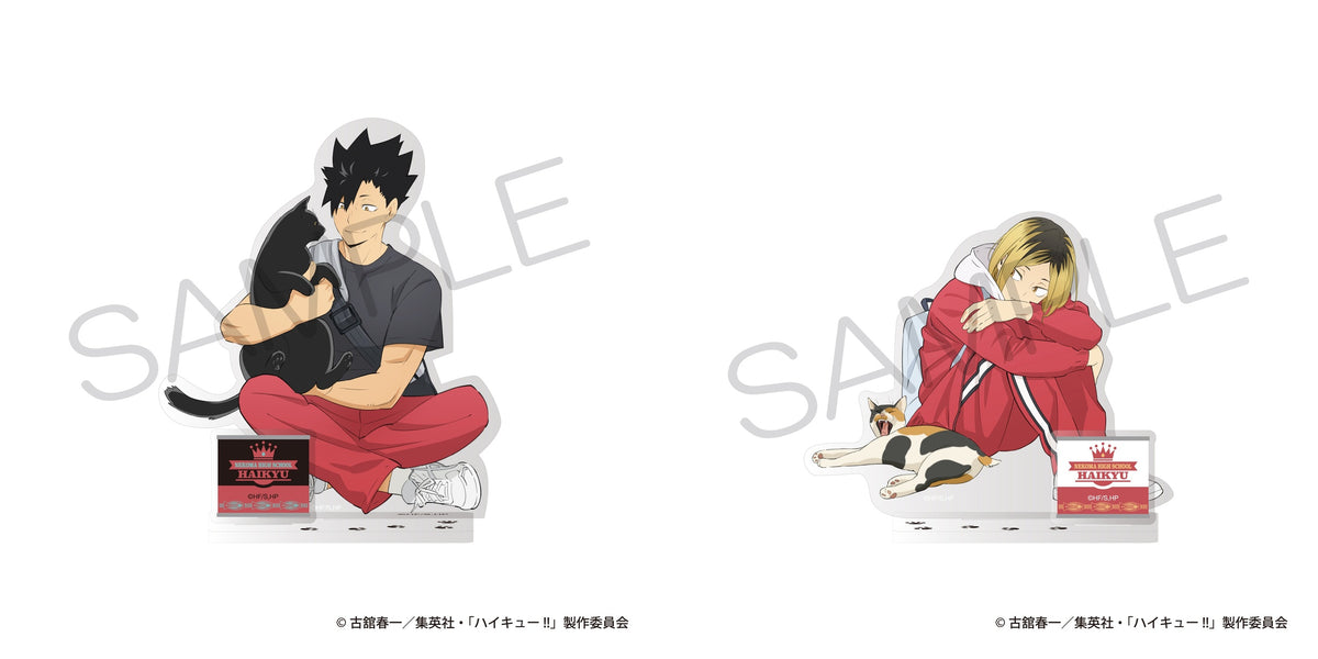 Haikyu stands Complete Set - Tetsuro Kuroo and Kenma Kozume