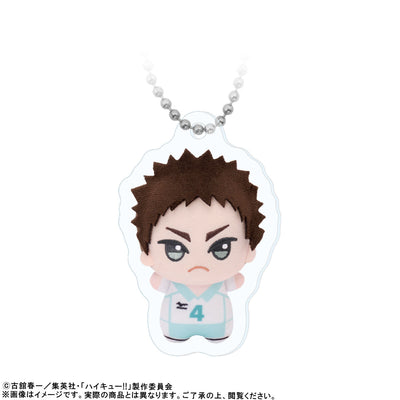 Haikyu!! Chibigurumi Photo Acrylic Keychains Hajime Iwaizumi