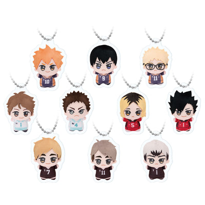 Haikyu!! Chibigurumi Photo Acrylic Keychains complete set of 10 designs