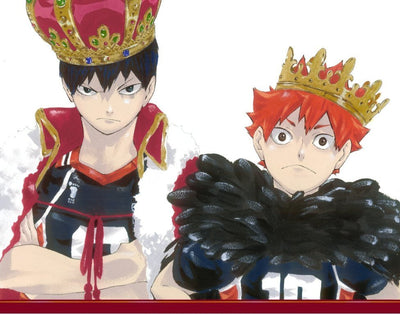 HAIKYŪ!! COMPLETE ILLUSTRATION BOOK