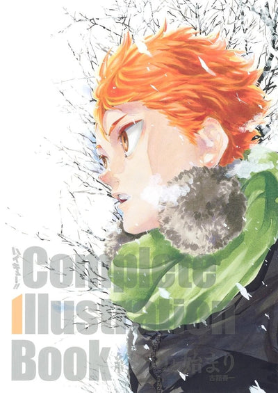 HAIKYŪ!! COMPLETE ILLUSTRATION BOOK