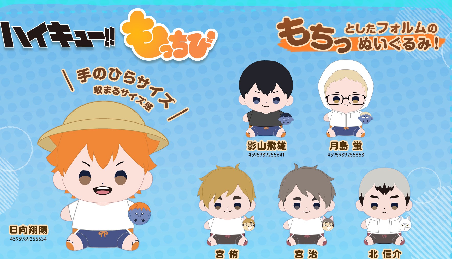 Haikyu!! Mochibi Plush - Beach Ball Ver. Plush (6 Types) [Pre-Order Aug 2026]