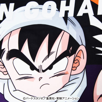 Dragon Ball Z Son Gohan No.005 Polyester Boxer Shorts for Men, Women, and Unisex