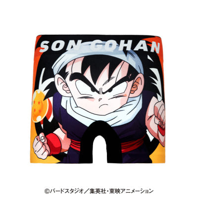 Dragon Ball Z Kids No. 002 Son Gohan Polyester Underwear