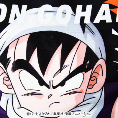 Dragon Ball Z Kids No. 002 Son Gohan Polyester Underwear