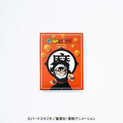 Dragon Ball Z Kids No. 002 Son Gohan Polyester Underwear