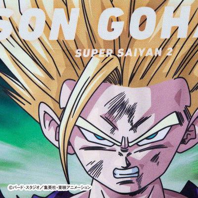 Dragon Ball Z No. 035 Son Gohan Super Saiyan 2 Boxer Shorts - Unisex Polyester Underwear for Men and Women