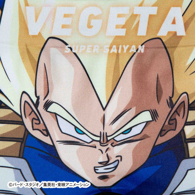 Dragon Ball Z Kids No. 013 Super Saiyan Vegeta Underwear - Polyester