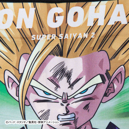Dragon Ball Z Kids No. 014 Son Gohan Super Saiyan 2 Polyester Underwear