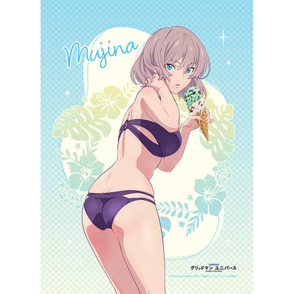 Gridman Universe - Original B2 Tapestry (3 Types) [Pre-Order July 2026]