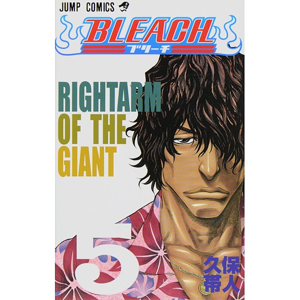 Bleach Volume 5 Japanese manga cover