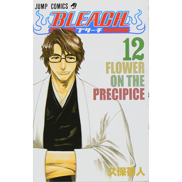 Bleach Volume 12 Japanese manga cover