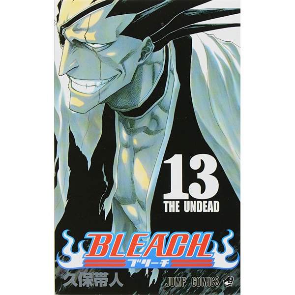 Bleach Volume 13 Japanese manga cover